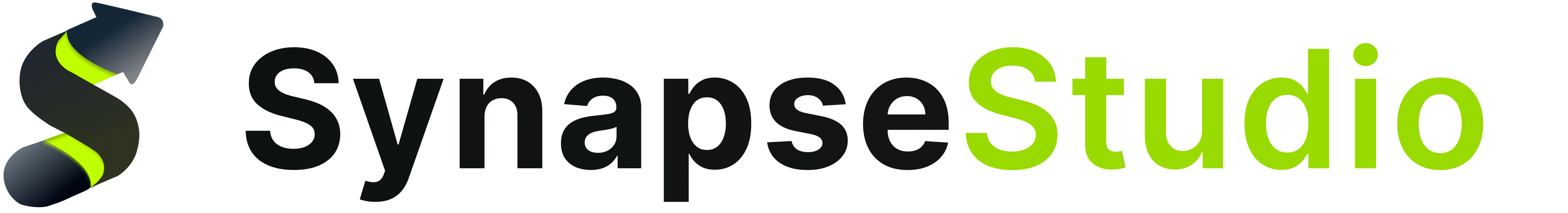 Synapse Studio